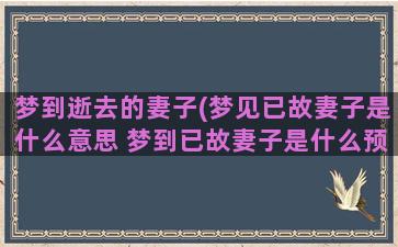 梦到逝去的妻子(梦见已故妻子是什么意思 梦到已故妻子是什么预兆)